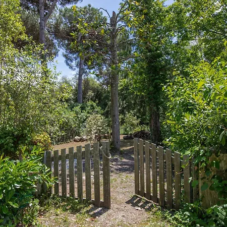 Dentro Al Parco La Casa Del Picchio Lagomare A Torre Del 아파트 *