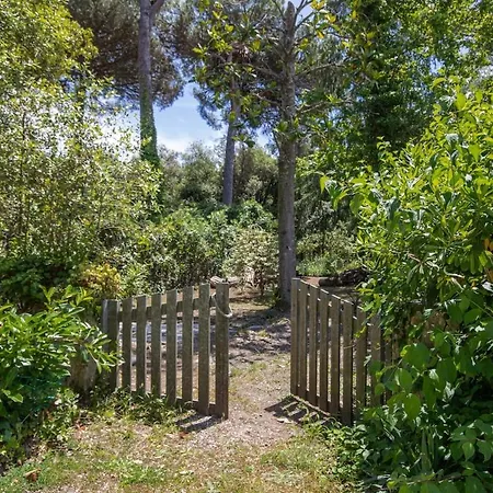 Apartman Dentro Al Parco La Casa Del Picchio Lagomare A Torre Del *